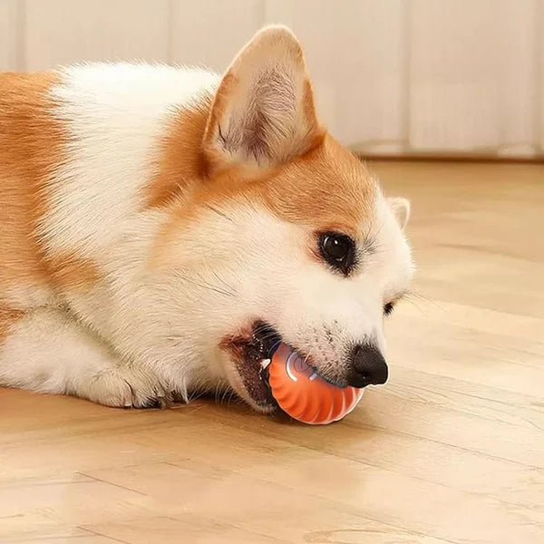 IntelliFetch™ - Pet Playing Smart Ball