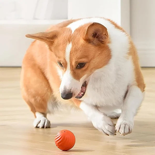 IntelliFetch™ - Pet Playing Smart Ball