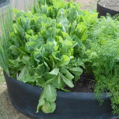 Easy Garden Fabric Raised Bed