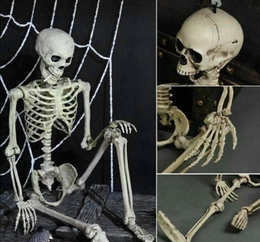 Poseable Skeleton - Creepy Halloween Decor