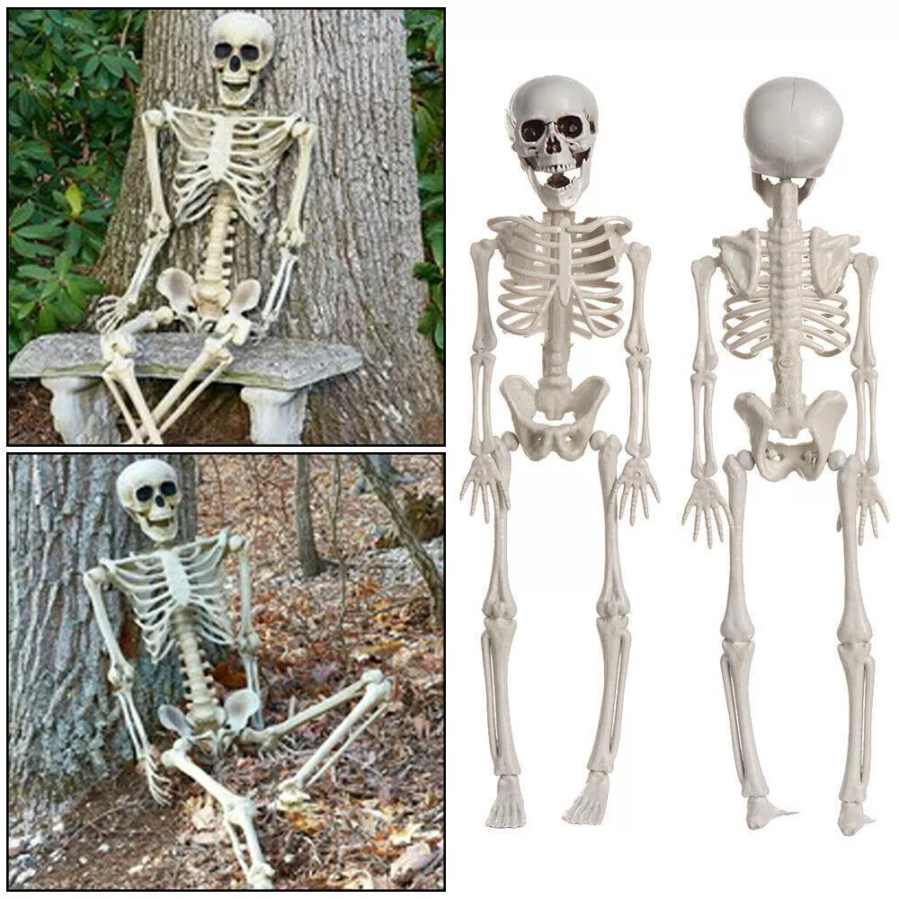 Poseable Skeleton - Creepy Halloween Decor