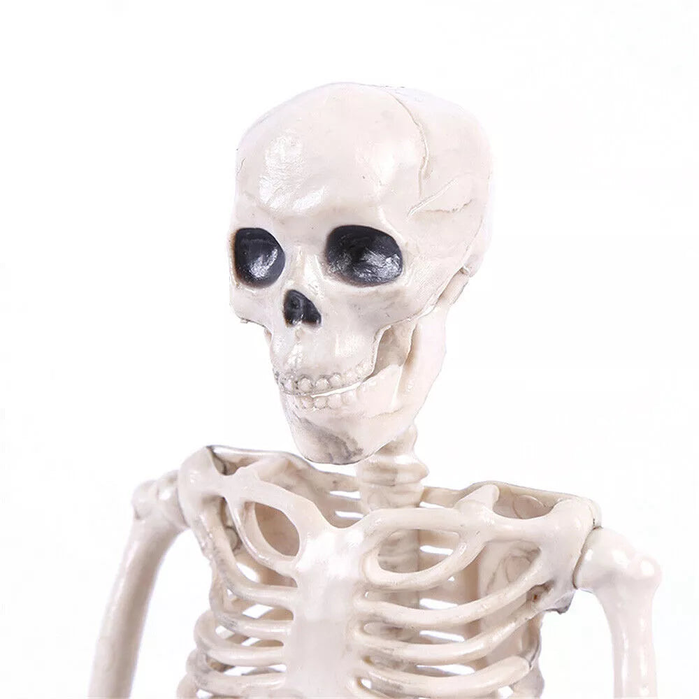 Poseable Skeleton - Creepy Halloween Decor