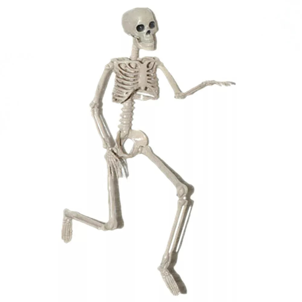 Poseable Skeleton - Creepy Halloween Decor