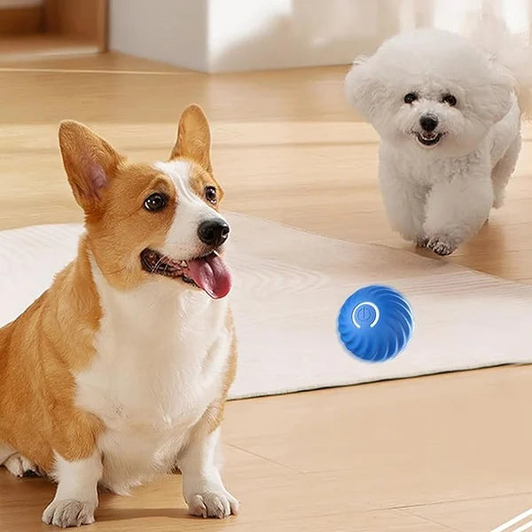 IntelliFetch™ - Pet Playing Smart Ball