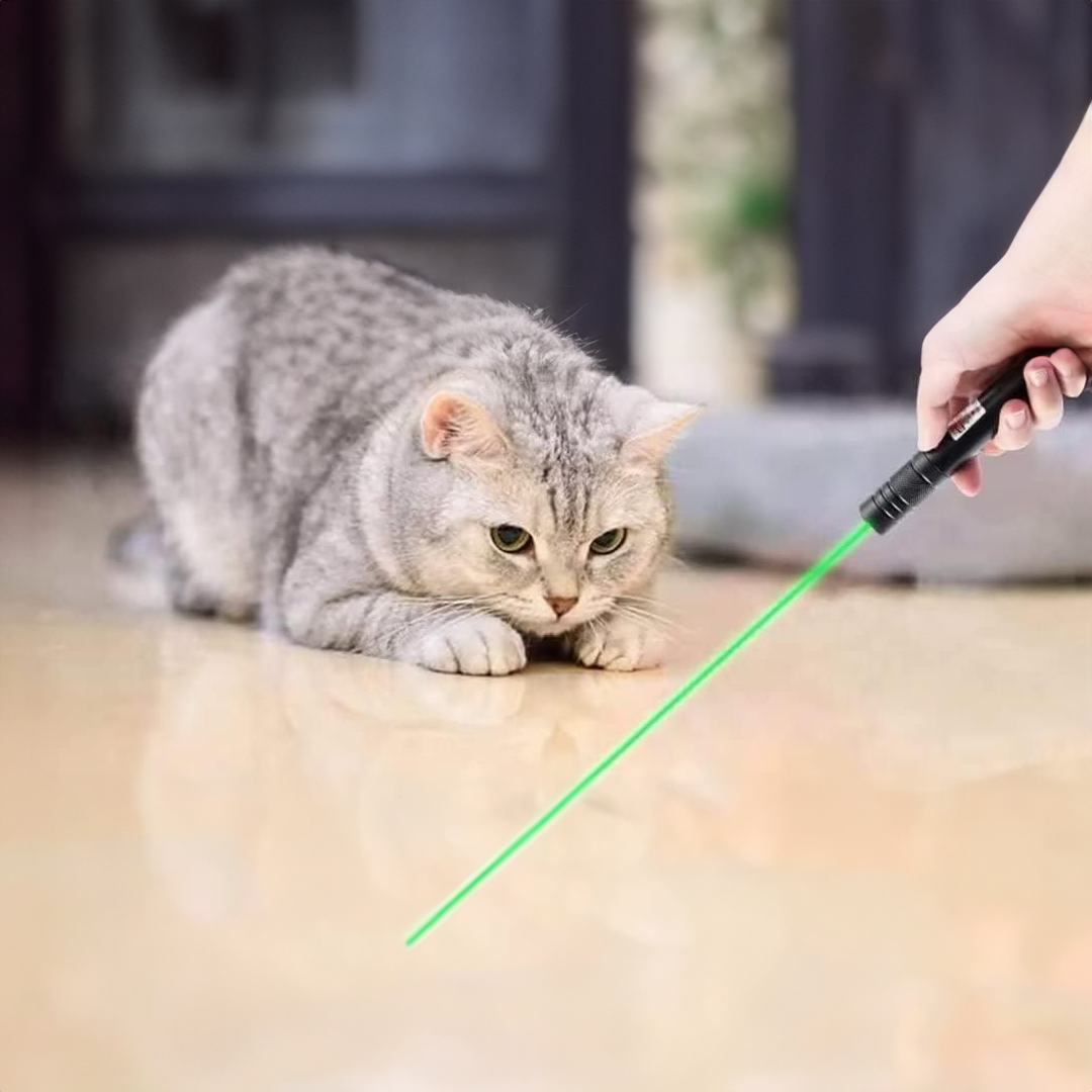 Military Grade 303 Laser Pointer